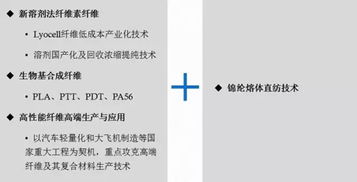 未来五年 中国化纤科技如何依托信息系统运维迈向国际一流